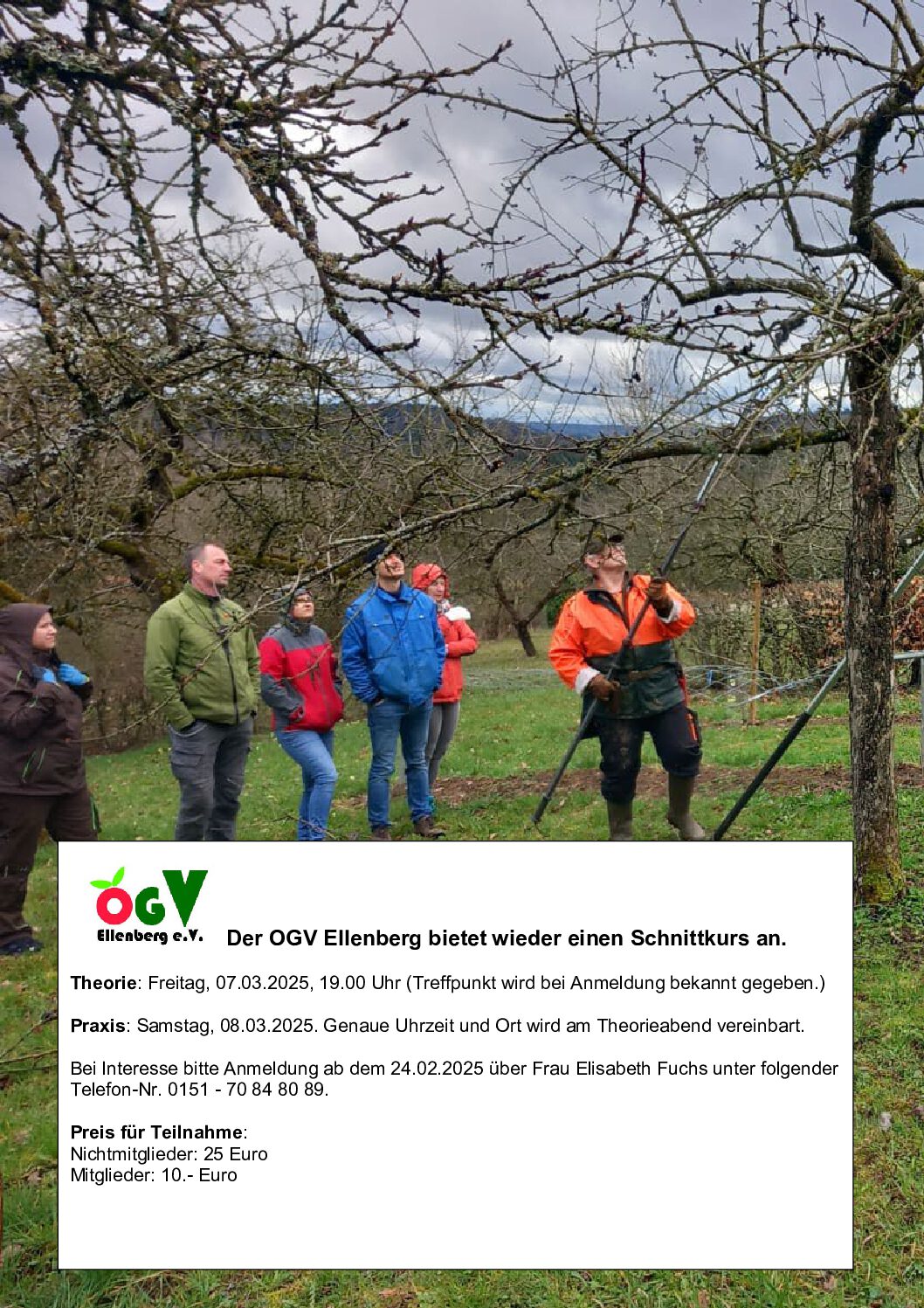 Obstbaumschnittkurs 2-teilig beim OGV Ellenberg am 07. & 08.03.25